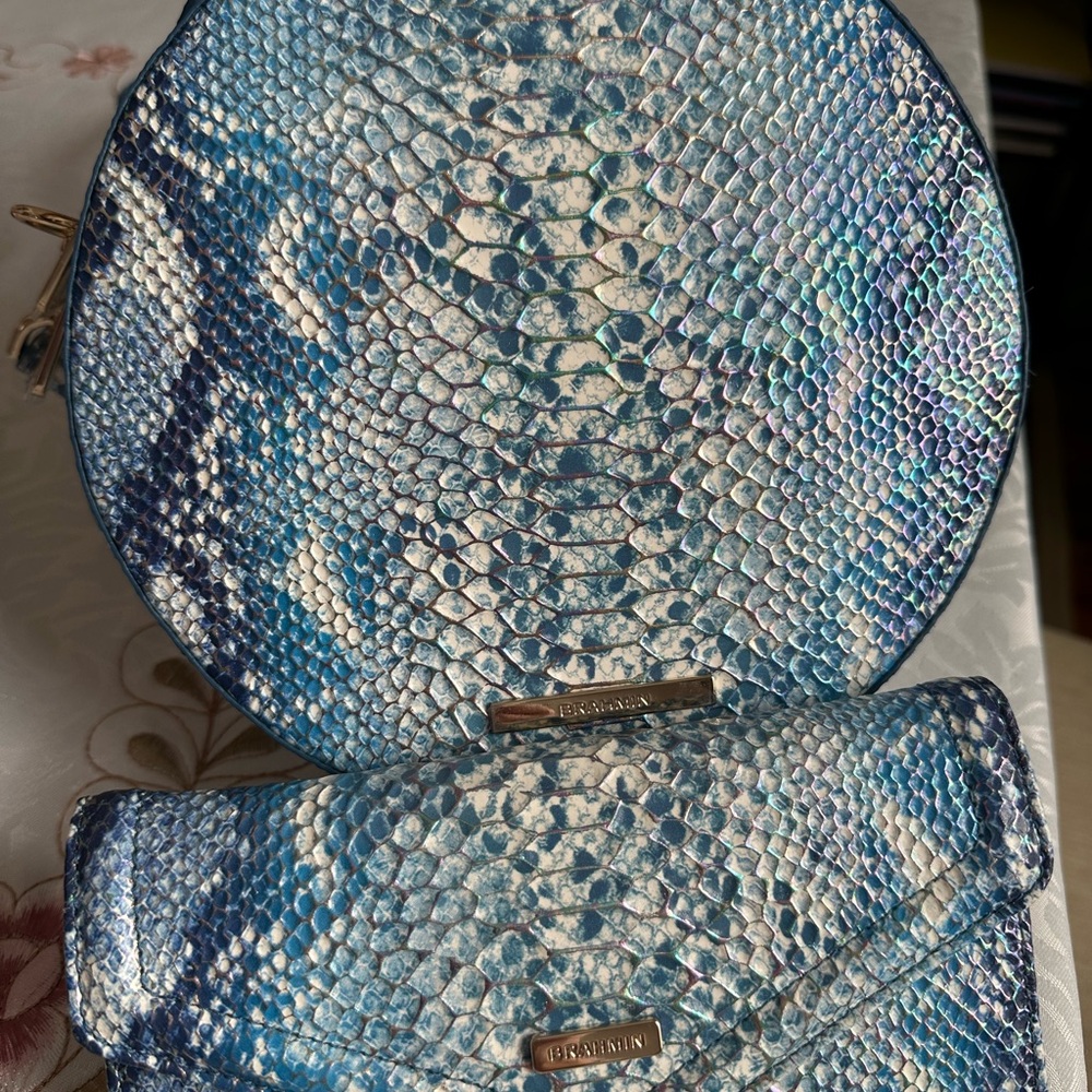 Brahmin Oceangrove Irirdescent Lane & Matching Veronica Wallet